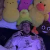 trap_goose609