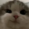 _nchphat07