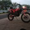ronyh244
