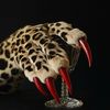 غابرييلا🐆