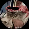 m1l4n.ardalan