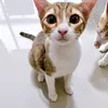 manunae1