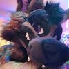 guinnessgshep