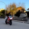 kingedd9