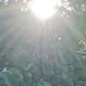 hapislover
