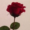 lo_la0002