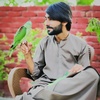 rehmanmughal0011