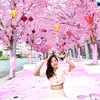 thaotrinh366