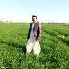 raees_663