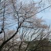 baggyeonggeunb432