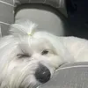 .◜◡◝ᯓ♡︎