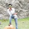 prince..pintu