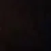 lilly_dberg