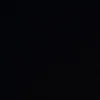 leqndro.341zy