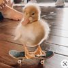 fidget_me47