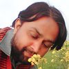 siddiqali77
