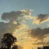 _aprilirvine05