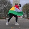 Rebazfreestyle