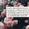 heba547