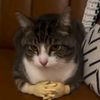 lily__12_3_