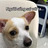 bunbanhbeo7