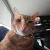martyaintsomcfly