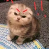 phuong_play214