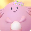 biankammm