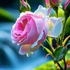 hilal_kpk