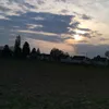 o.o.cd