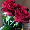 user89447903rahm