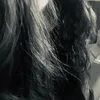 chebaxz