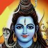 user02441495