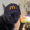 cheesybiscuit4