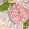 solieerose