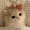 3iyu_.m
