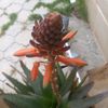 zeyd..ali