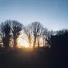 danihurl_1801