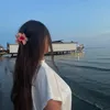 djellush.a