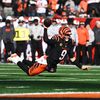 bengalblaine