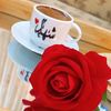 shahed.hosam