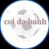 conchimmamay112233