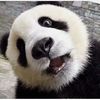 livingin_china