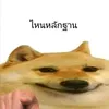 ggezxdddd