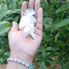 urmiislam528