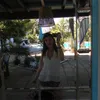 darcy_pxox