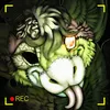 festerdragon_