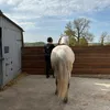 morgane315