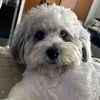 maxpatty7
