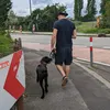 sinnloserfollow